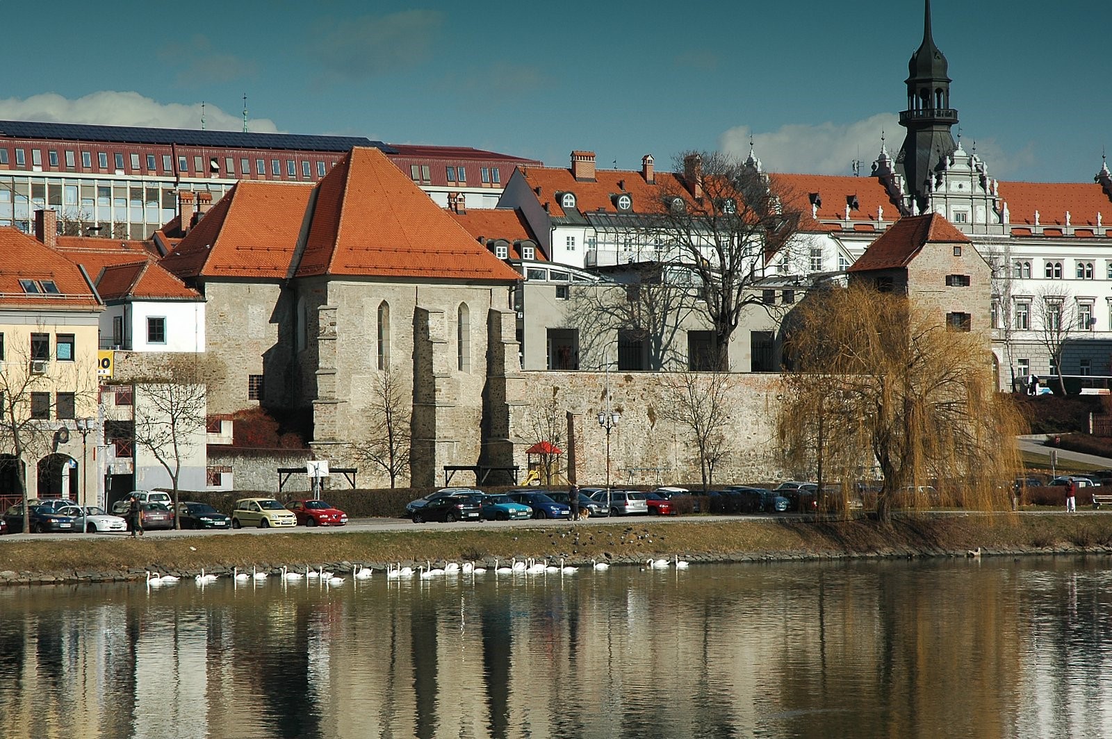 Dan odprtih vrat Sinagoge Maribor