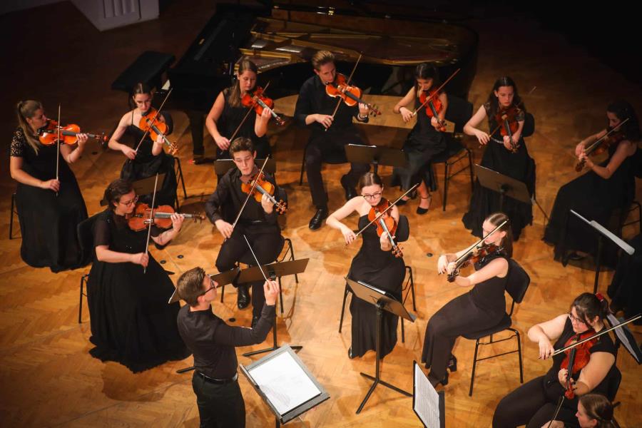 Komorni godalni orkester Poletne glasbene šole