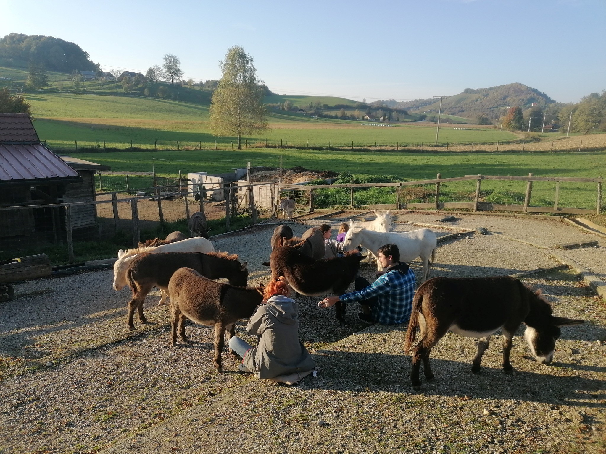 Voden ogled posestva in druženje z živalmi
