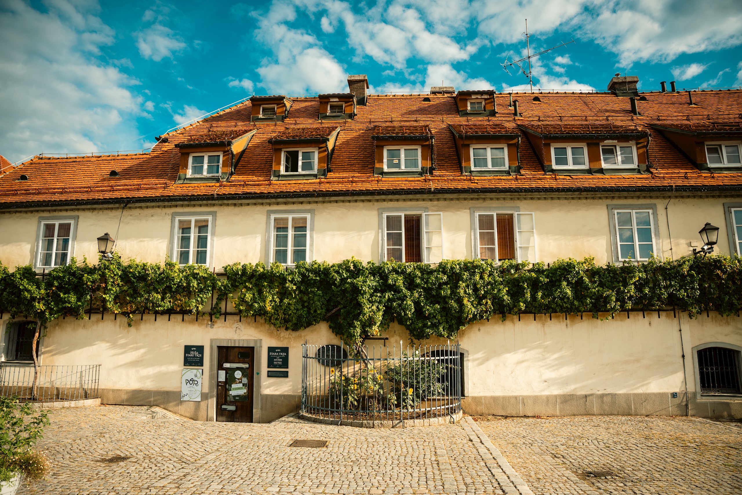 maribor