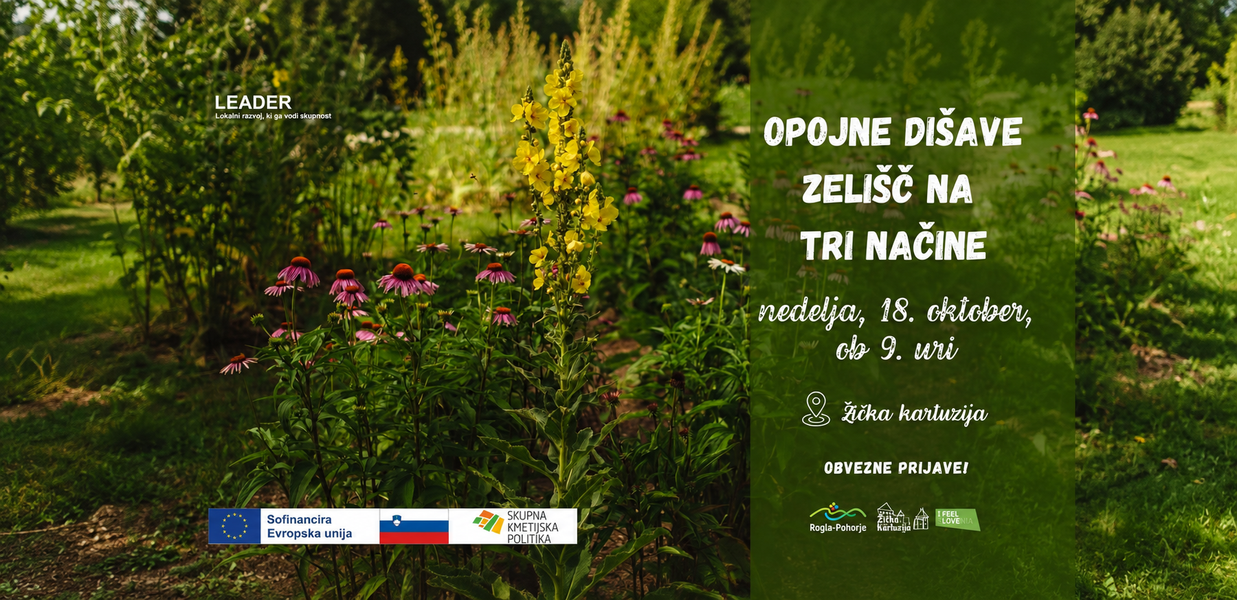 Opojne dišave zelišč na tri načine