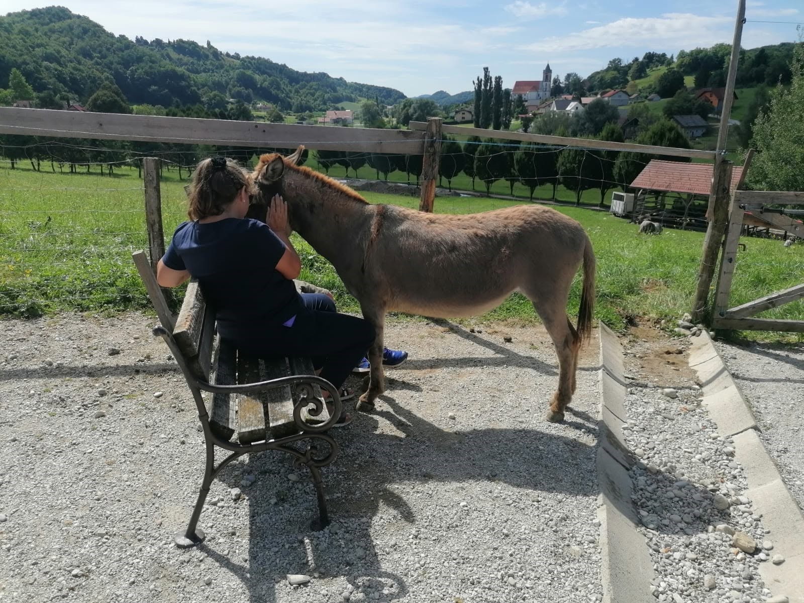 Voden ogled posestva in druženje z živalmi